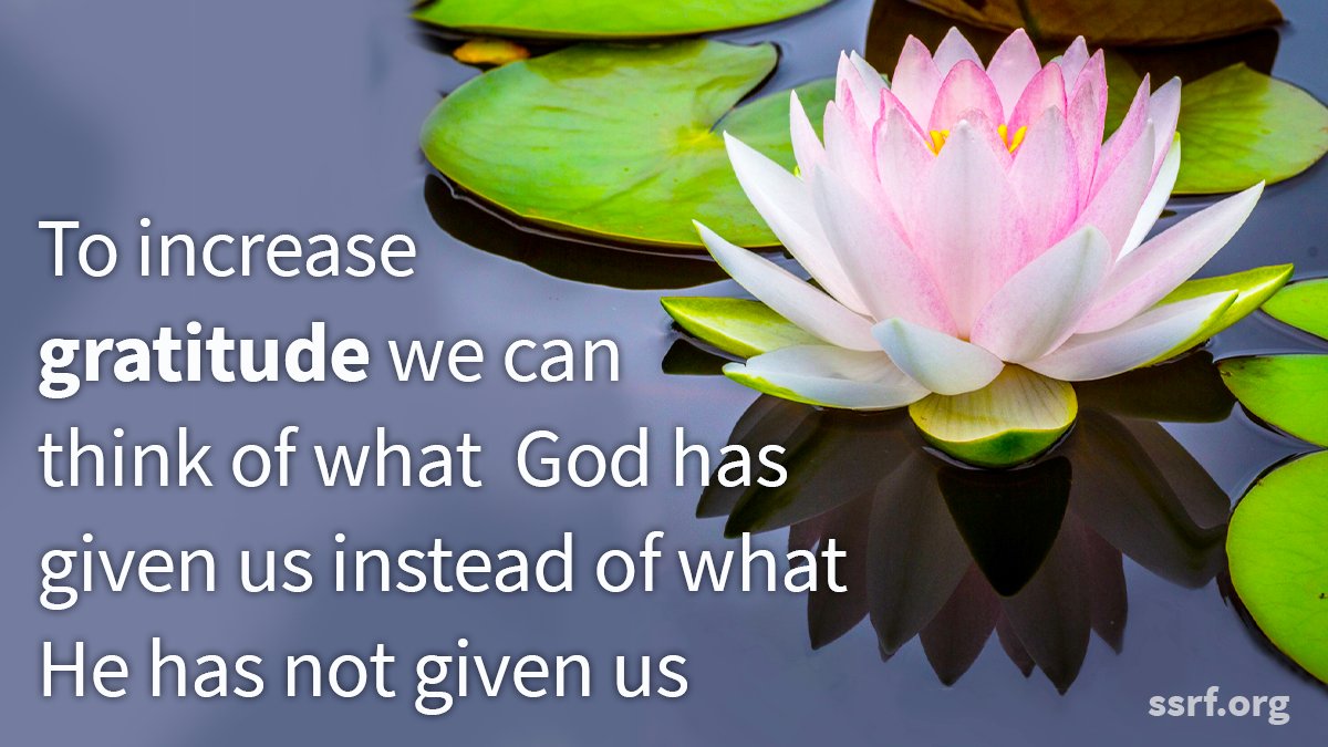 SSRF Spirituality tweet media