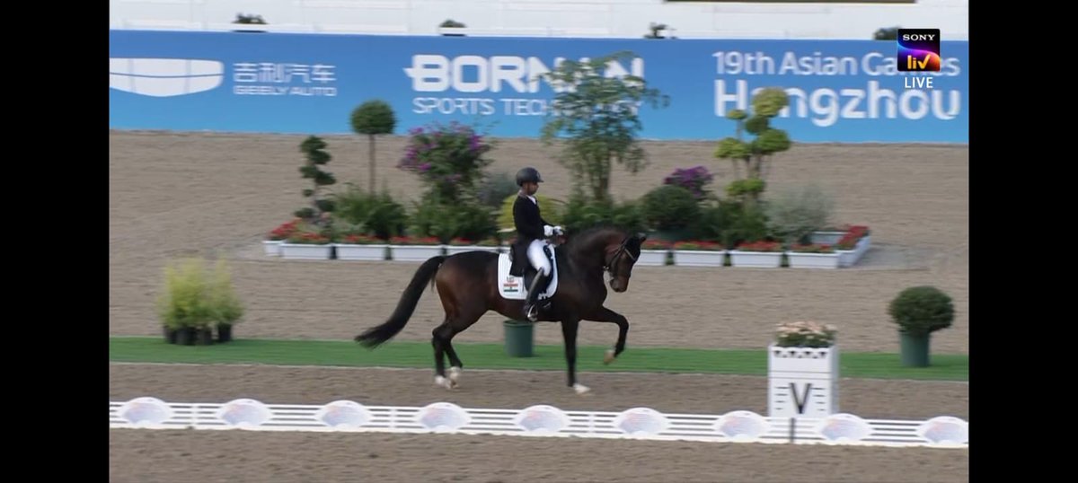 SportsArena1234's tweet photo. ITS 3RD GOLD FOR INDIA 

The Indian Team of Anush Agarwalla, Hriday Vipul, Divyakriti and Sudipti Hajela clinched the Gold medal after registering a huge score of 209.205 in the Team Dressage 

(only the best 3 scores are considered)

#AsianGames2023 #Equesterian https://t.co/wNR6RocZOv