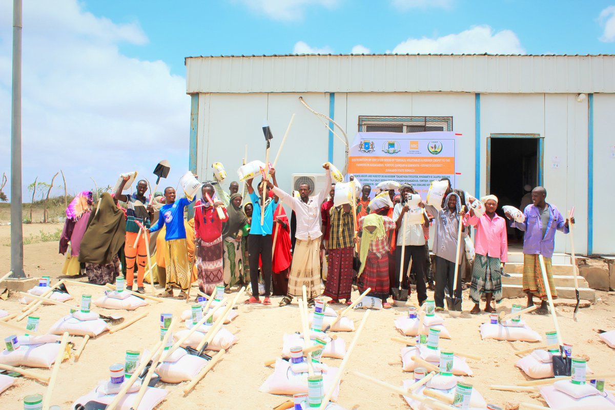 CsetGroup's tweet photo. @CSET in collaboration with MoAI of JL State and @NRC_Norway have distributed certified seeds such as Maize, Cowpea, Sudan Grass and Vegetables  to the farmers COOP in Bulogadud - L Juba Region. SCRP Project funded by @WorldBank through @MoFsomalia

@USAIDSomalia  @UKinSomalia https://t.co/8HBa7k8Se6