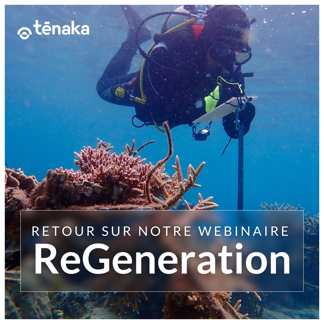 🌊 Pour engager les #entreprises dans la restauration des écosystèmes aquatiques, nous restaurons des coraux à la Réunion avec @Tēnaka,
La semaine dernière, nous organisions un #Webinairepour parler de l'avancée du projet. Merci à tous les #partenaires pour ce moment convivial !