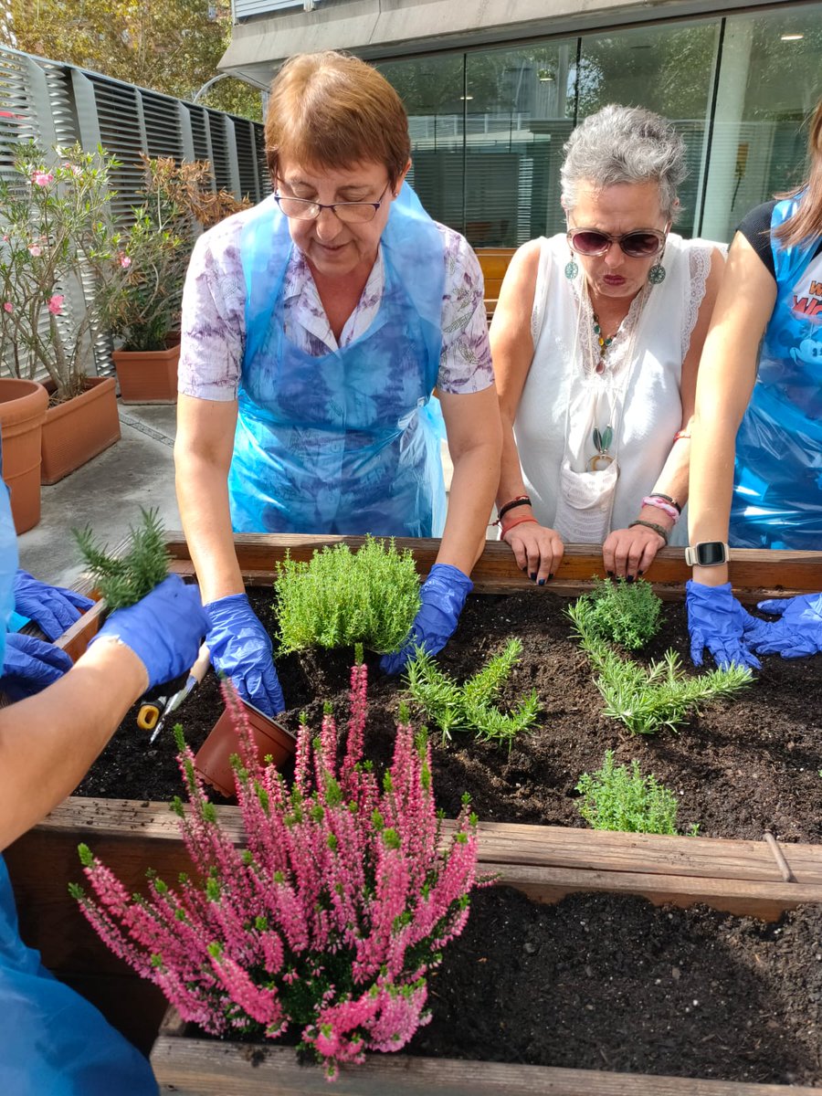 Hospital del Mar (@hospitaldelmar) on Twitter photo Ja hem plantat 🧑🌾 les primeres plantes 🌱 aromàtiques a l'#HortRacódelPensament del #CentreFòrumMAR!
Amb elles, farem tallers d'#aromateràpia per als pacients de #salutmental ingressats
<a href="/Condislife/">Condis Supermercats</a> <a href="/AmicsHMar/">AMICS Hospital Mar</a> <a href="/Ribanezav/">Rocío Ibáñez</a> <a href="/87359parcdesal1/">Rosi</a> <a href="/anguera_marta/">Marta Anguera</a> #HortsTerapèutics Ja hem plantat 🧑🌾 les primeres plantes 🌱 aromàtiques a l'#HortRacódelPensament del #CentreFòrumMAR!
Amb elles, farem tallers d'#aromateràpia per als pacients de #salutmental ingressats
<a href="/Condislife/">Condis Supermercats</a> <a href="/AmicsHMar/">AMICS Hospital Mar</a> <a href="/Ribanezav/">Rocío Ibáñez</a> <a href="/87359parcdesal1/">Rosi</a> <a href="/anguera_marta/">Marta Anguera</a> #HortsTerapèutics