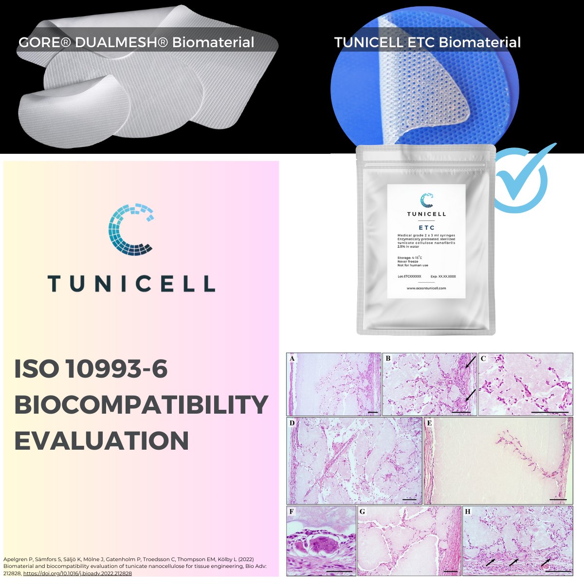 OceanTuniCell's tweet photo. TUNICELL has undergone #biocompatibility testing according to #ISO10993 standards, and performs as well as the control material; Gore Dualmesh ePTFE surgical mesh ⇨https://t.co/dqWj8abMWv 

#biomaterial #hydrogel #biocompatible #ISO10993 https://t.co/T77Gsjrcil