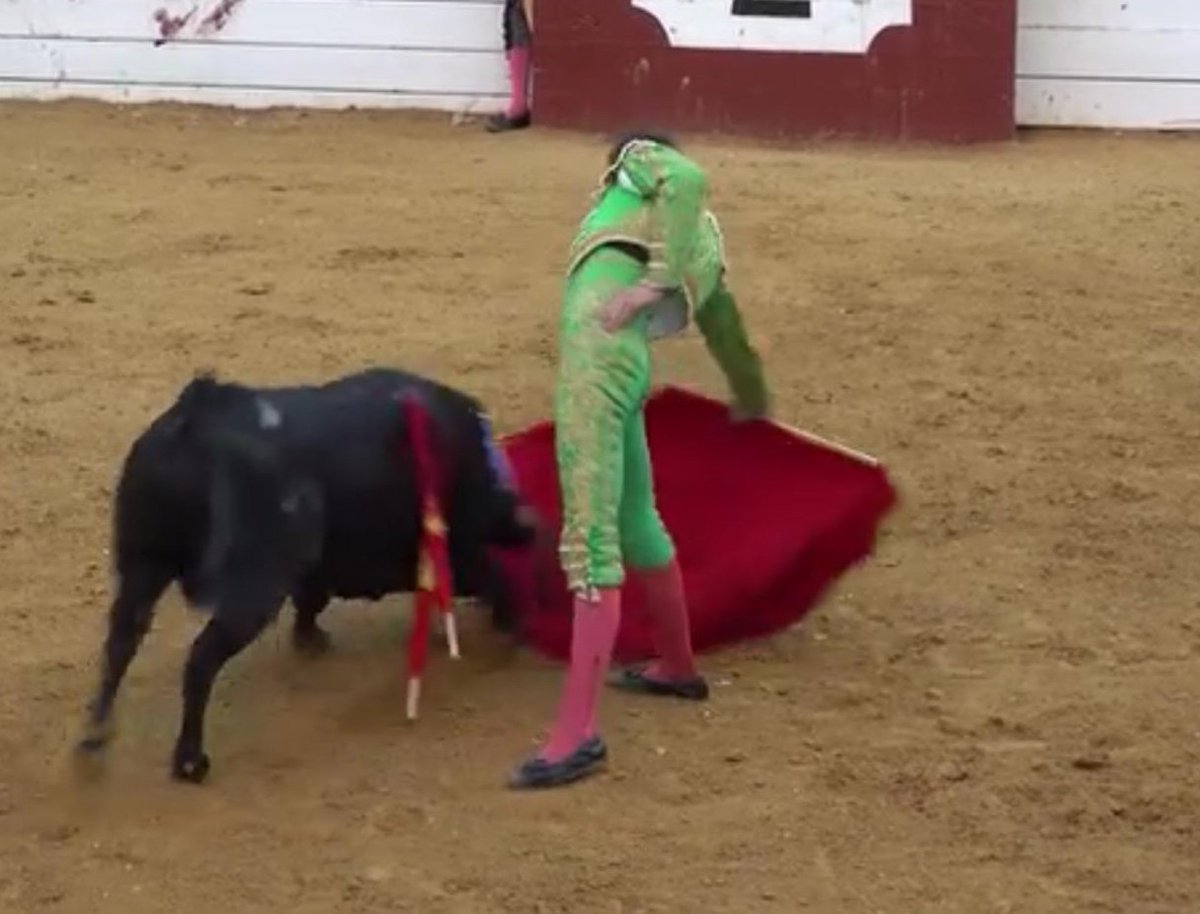 Hay un torero en Cataluña. 
Se llama Mario Vilau, es de Barcelona, y ayer pinchó la faena de la tarde. Poderosa, honda y templada, que bien podría ser la Naranja de Plata de la feria de Algemesí 2023.

Ya ven, hasta en los estercoleros nacen flores.