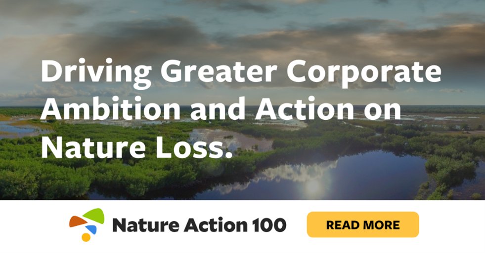 NEWS: The engagement phase of Nature Action 100 has begun 🚀 190 institutional investor participants – representing $23.6 trillion in AUM or advice – have started direct engagement with 100 companies through the initiative. (1/4) #nature #biodiversity natureaction100.org/nature-action-…