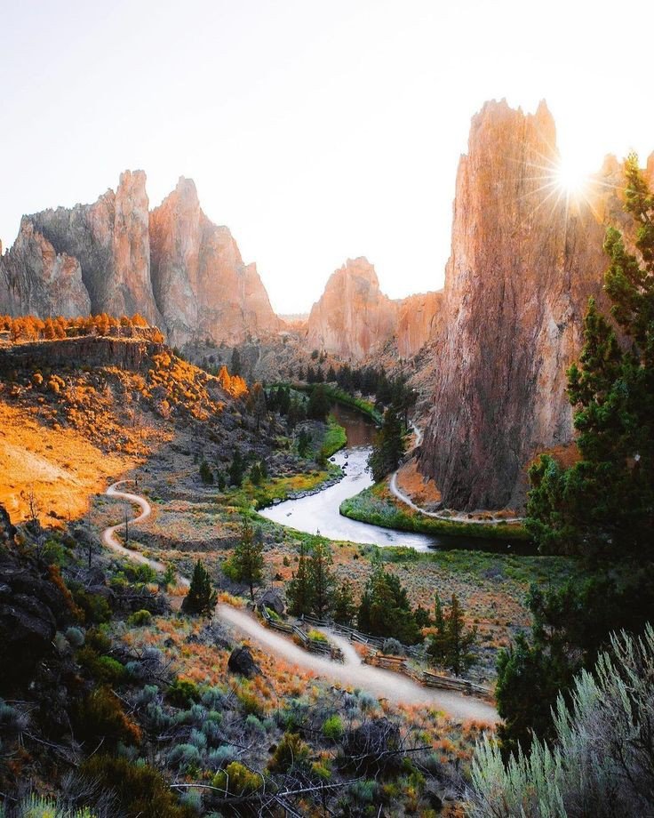 ☀️
Good morning dear friends 

#nature #photography