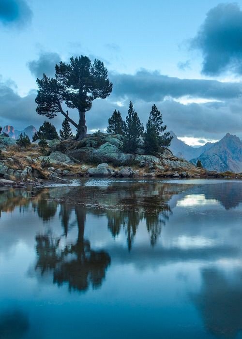 💙
Good day 

#nature #photography