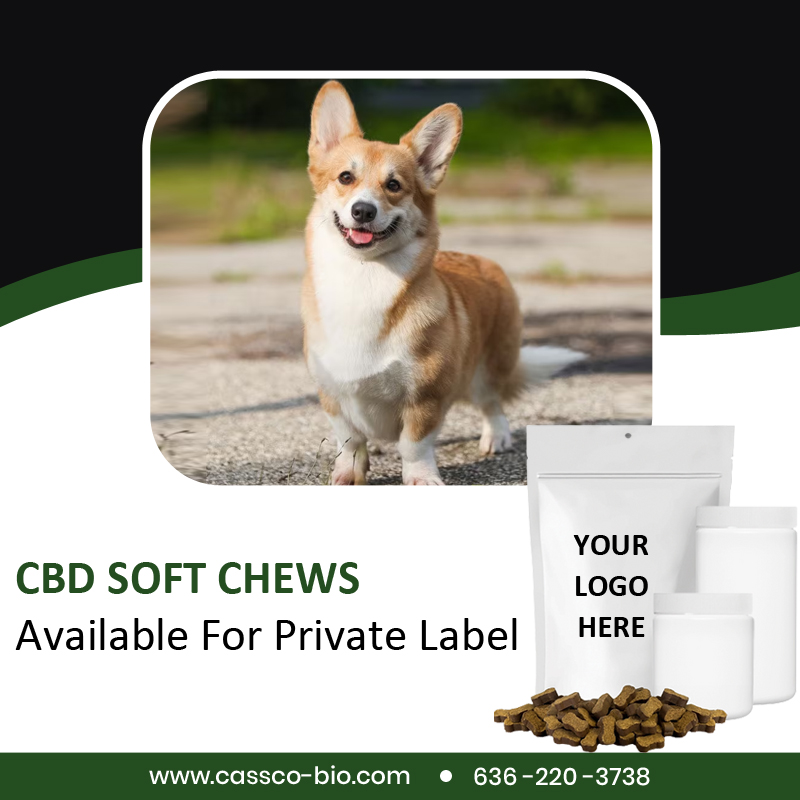 CassCo offers a complete line of pet soft chew supplements for private labeling. Our CBD pet soft chews are one of the most concentrated formulas in the industry. We offer both 60-count & 120-count jars and pouches. WE have low minimum run sizes free custom label/pouch design.