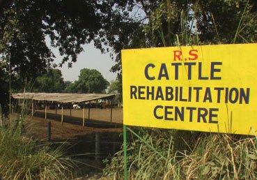 SigmaSixQV's tweet photo. @narendramodi, @myogiadityanath, will a way of life that cares for even older cattle be attacked by police for pleasing the Builders?

Older #Cattle at #Dayalbagh #Dairy are provided shelter at the #Cattle Rehabilitation center. https://t.co/wHSKS7hxaj