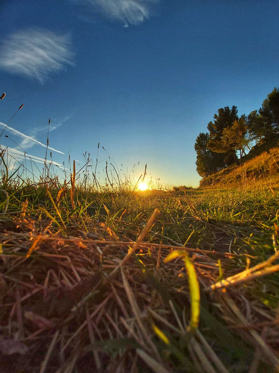 26.09.2023
dia 25 sep 2023. 
máx=25,6°C   min=11,1°C
dia 26 sep 2023.
                             min=12,4°C
informa 9287F #Cornago 
<a href="/AEMET_Esp/">AEMET</a> <a href="/Aemet_Corpora/">AEMET_Corporativa</a> <a href="/AEMET_Aragon/">AEMET_Aragón</a> <a href="/AEMET_Navarra/">AEMET_Navarra</a> <a href="/AEMET_LaRioja/">AEMET_La Rioja</a>