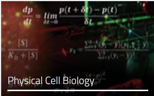 Only 6 days left to submit your abstract for #bps2024 Feb 10-14th, 2024 in Philadelphia

The ✨Physical Cell Biology ✨ subgroup is soliciting nominations for Early Career &amp; Student awards. Nominate your colleague #biophysics #cellbiology #SoftMatter here:
biophysics.org/awards-funding…