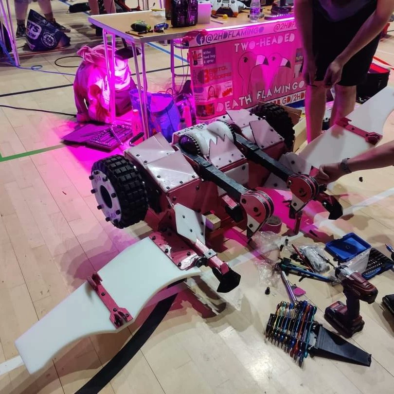 Two-Headed Death Flamingo tweet media