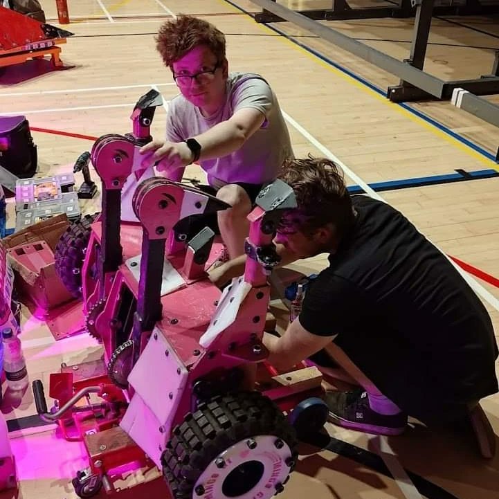 Two-Headed Death Flamingo tweet media