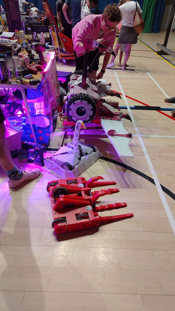 Two-Headed Death Flamingo tweet media