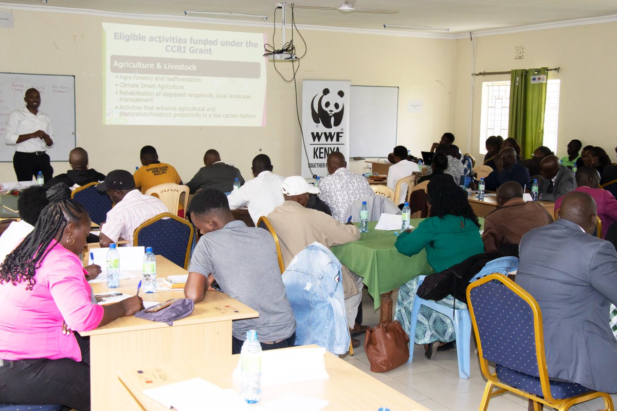 ALINEAfrica's tweet photo. Currently happening :
@Alineafrica in collaboration with @NakuruCountyGov @SEAFKenya , @Wanavijiji_sdi , and @WWF_Kenya is holding a proposal development write shop for the #WCCPCs Naivasha, Njoro and Molo sub-County.
#NakuruClimateaAction https://t.co/hN7QvAvRaj