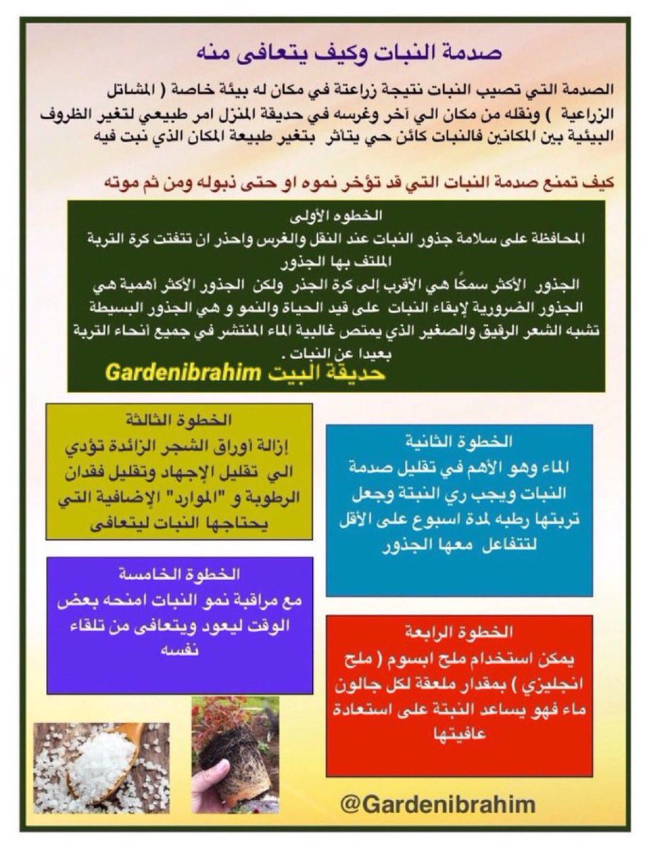 GardenIbrahim's tweet photo. اهم خطوة بعد زراعة النبات في حديقة بيتك 

البعض  يعاني منها ونتيجتها ذبول النبتة او موتها 

             ( صدمة النبات ) 

تعرف عليها وكيف تجعل النبات يتعافى منها 

احتفظ بالنشرة  وكبرها عند القراءة فسوف تحتاجها لاحقاً https://t.co/P81T8hDpeG