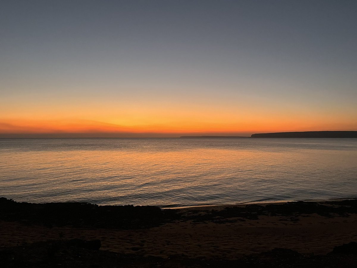 Luke Gilmour tweet media