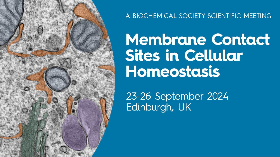 contactctc (@contactctc) on Twitter photo A date for your diaries: 23-26 September 2024.
<a href="/BiochemSoc/">Biochemical Society</a> is running a membrane contact site conference (2.5 days) in Edinburgh.
eventsforce.net/biochemsoc/180…
High profile speakers & full programme announced soon.
Low price registration, with grants & bursaries. A date for your diaries: 23-26 September 2024.
<a href="/BiochemSoc/">Biochemical Society</a> is running a membrane contact site conference (2.5 days) in Edinburgh.
eventsforce.net/biochemsoc/180…
High profile speakers & full programme announced soon.
Low price registration, with grants & bursaries.