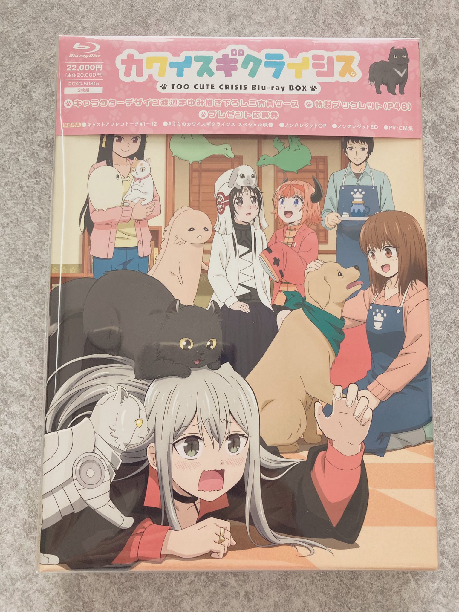 カワイスギクライシス」Blu-ray発売中🐾 (@kawaisugicrisis) / X カワイスギクライシス」Blu-ray発売中🐾 (@kawaisugicrisis) / X