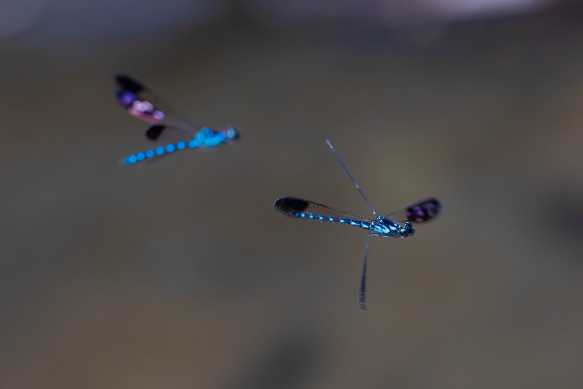 Sam Fabian tweet media