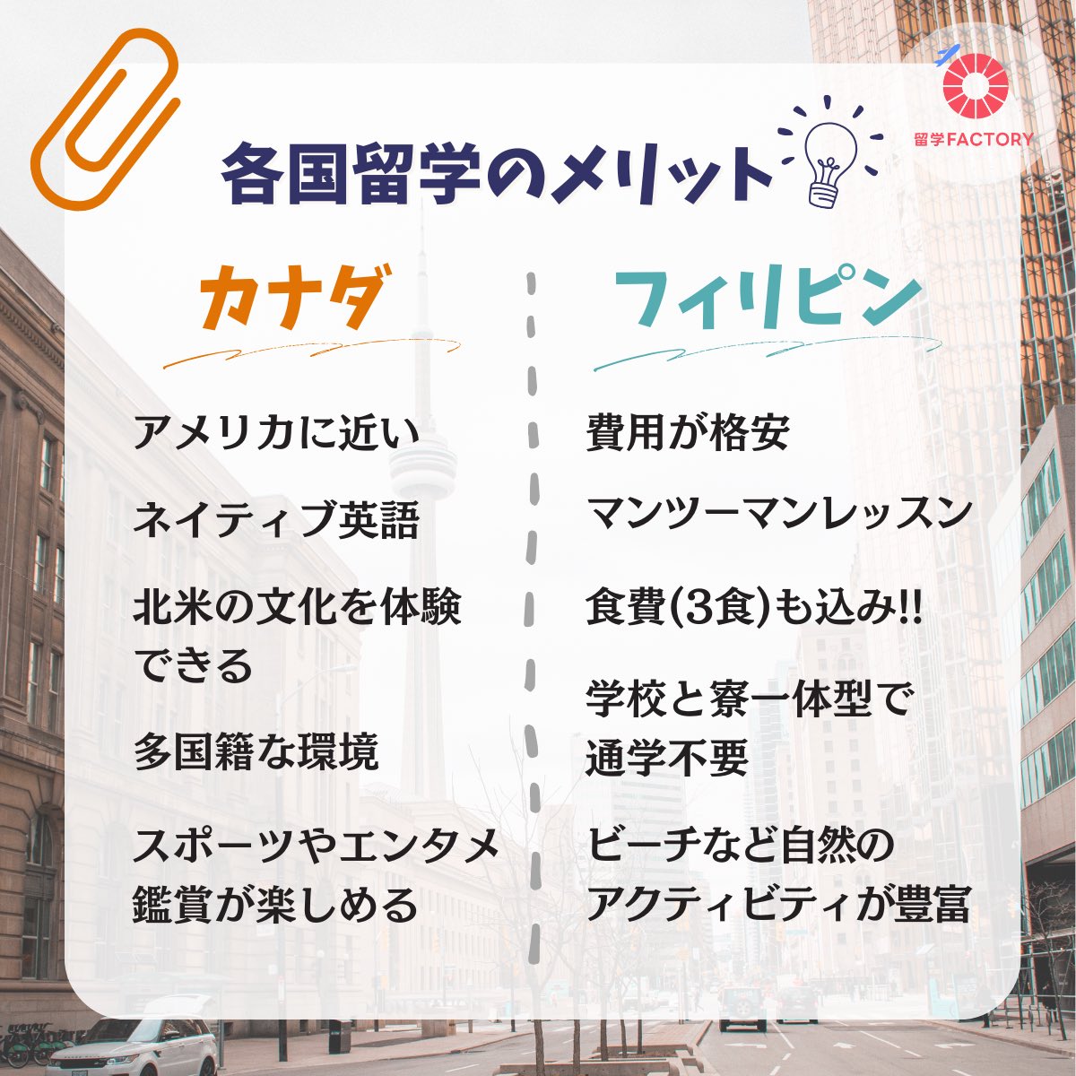 留学FACTORY【格安留学手配✈】 tweet media