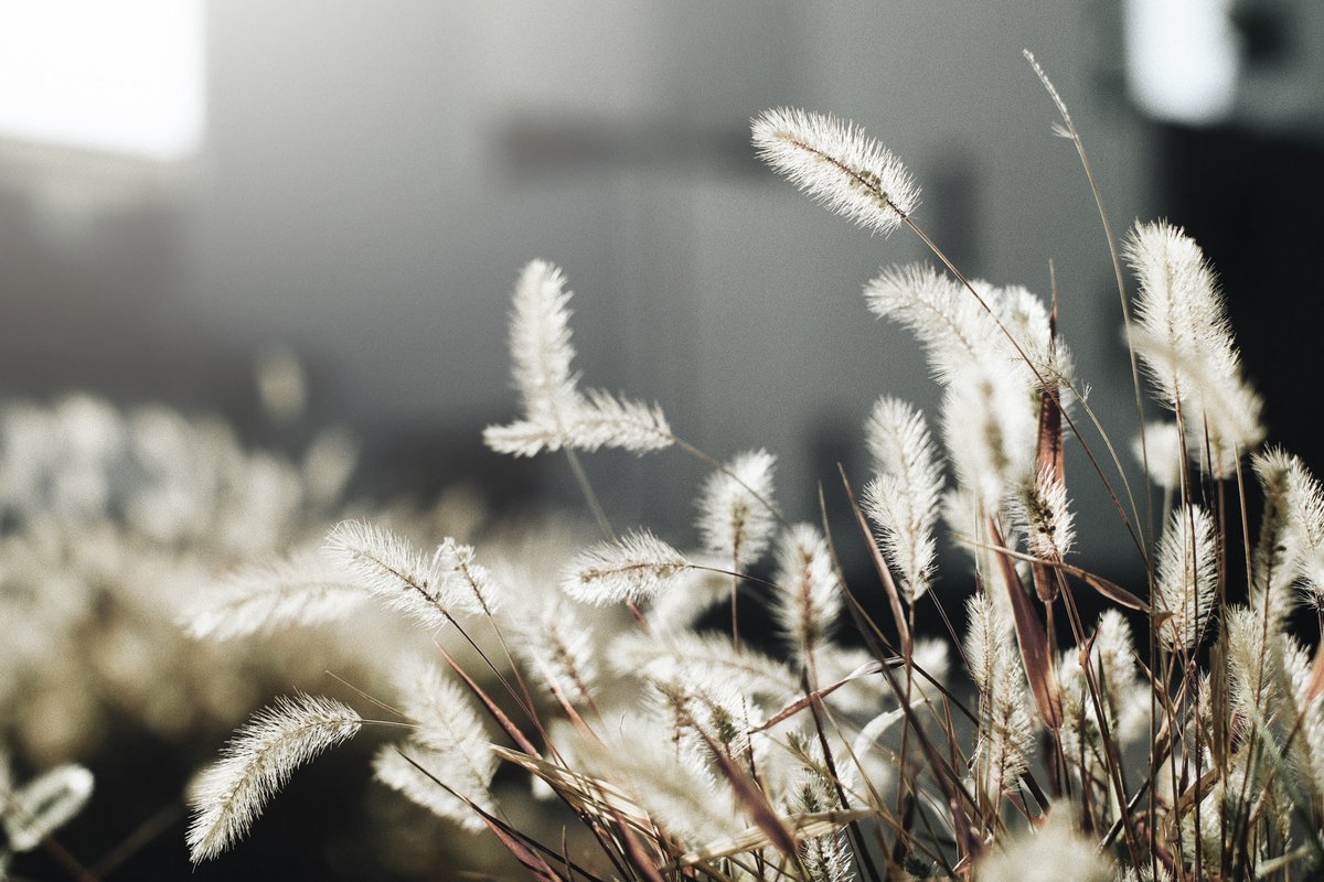 mono_xci's tweet image. 暮れてゆく
ㅤ