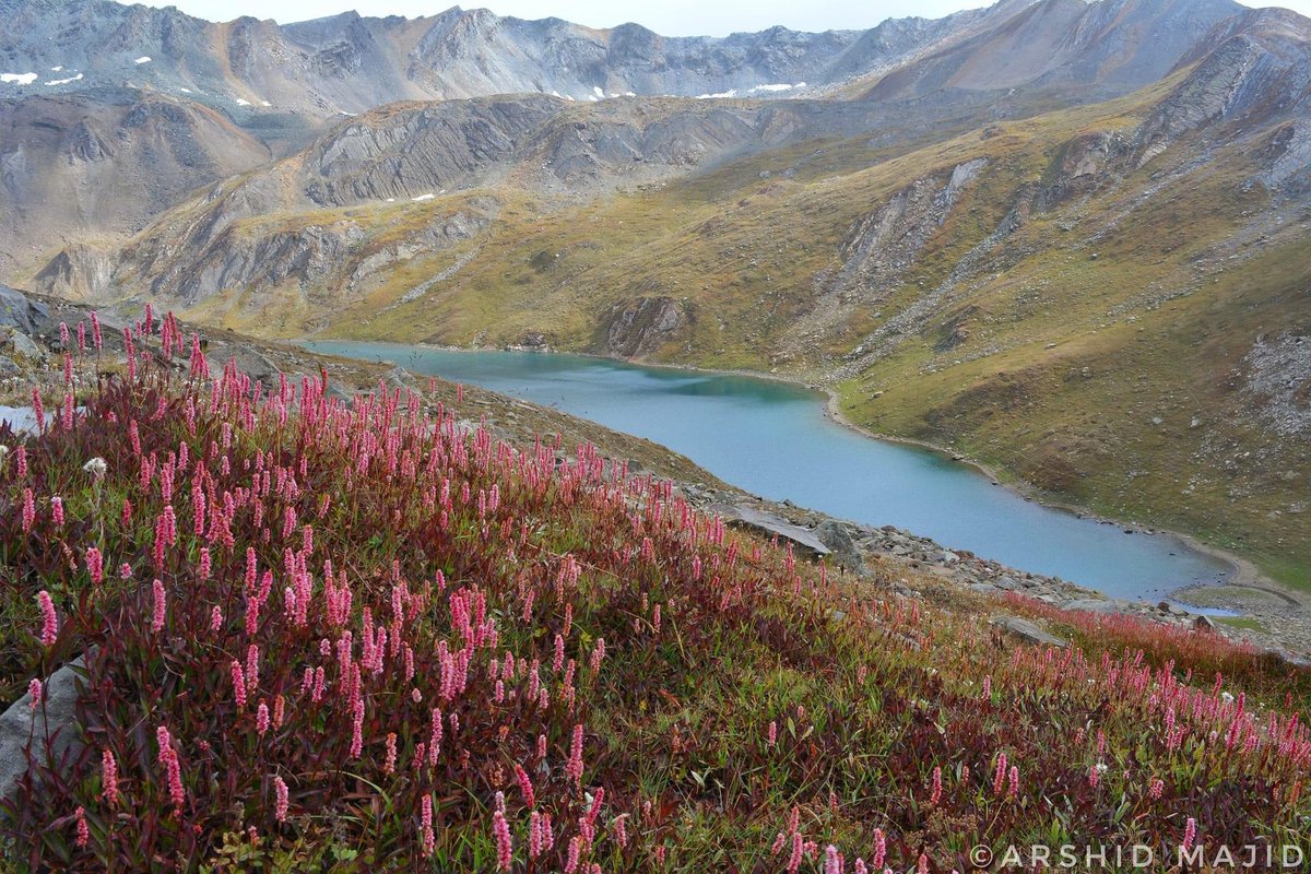 AlpineAdv's tweet photo. 🏔️ Sunday Trek Series 🏞️ Exploring Nagandar LakesAltitude: 4274m. Distance: ~18km from Sukhnai. 5 stunning alpine lakes explored by Team Alpine Adventurers. An adventurous journey through Sukhnai village, Warwan Valley, and the majestic Marusudar River. 🌄 #AlpineAdventures https://t.co/hcbTZKkQBm