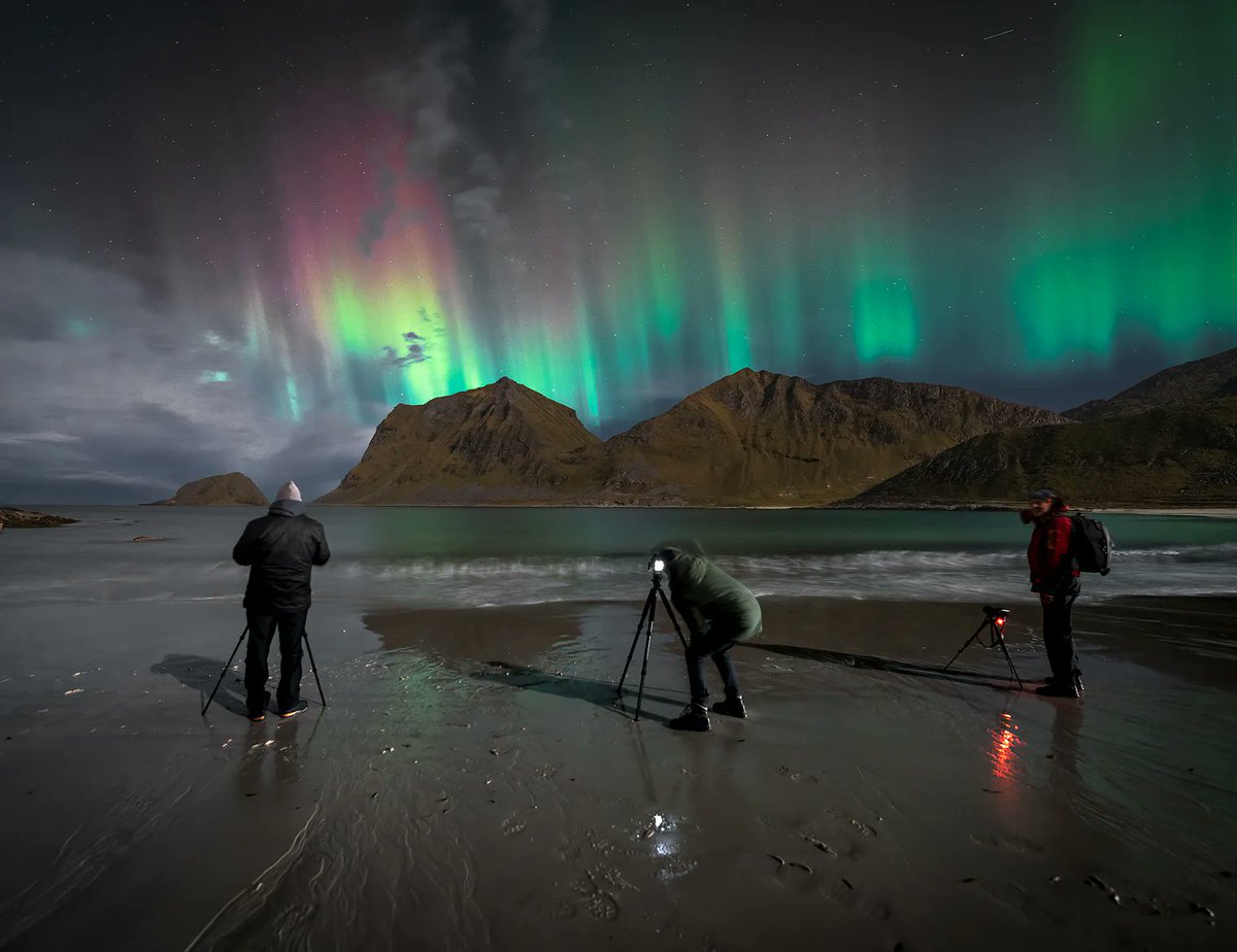 hellozhoola's tweet image. Dive into a world of unique workshops &amp;amp; experiences at Zhoola! 🌏✨Expand your horizons with our expert-led trips. Ready to explore? Book now! 🛫#TravelWithZhoola #AdventureAwaits👉 zhoola.com 👈