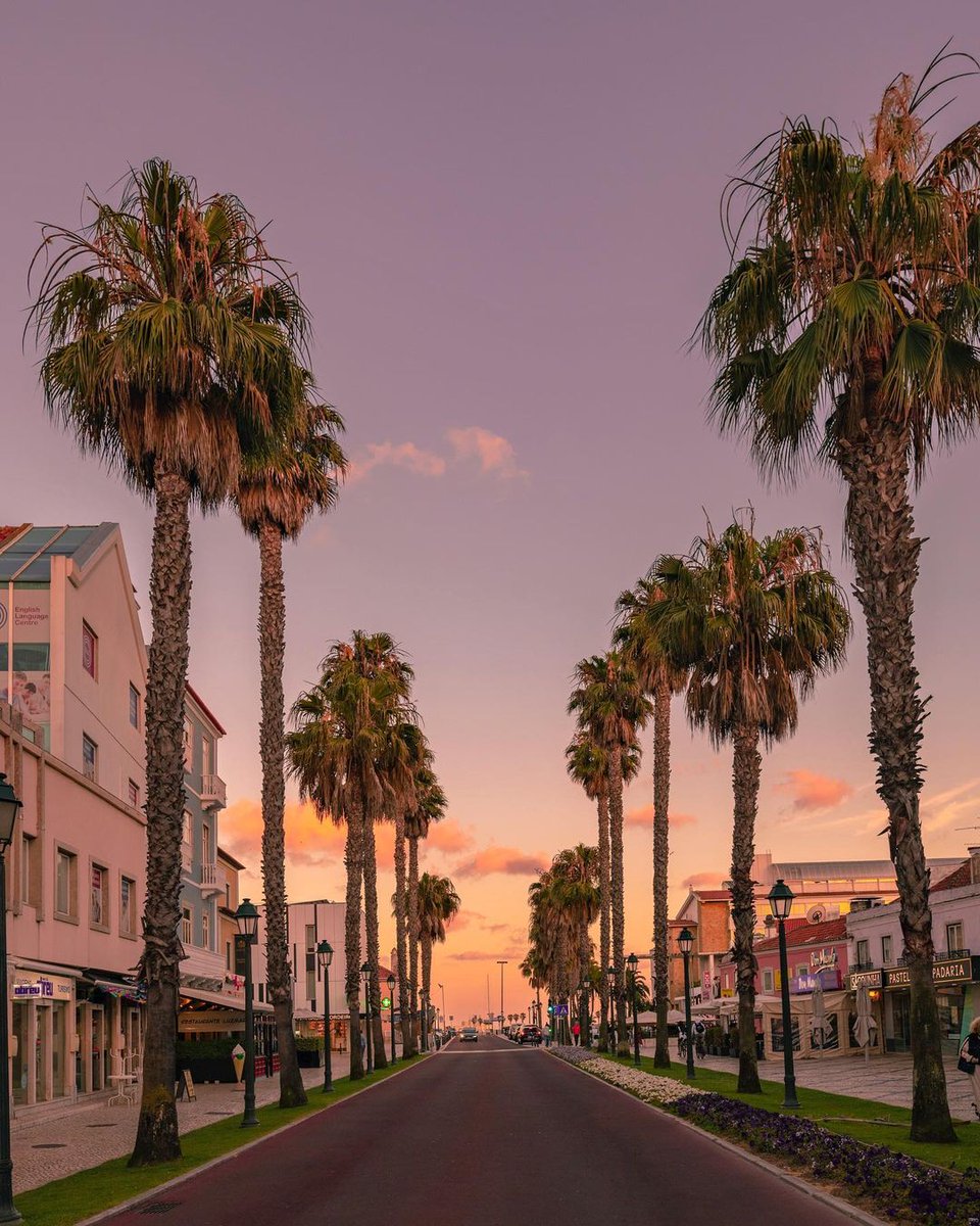 visit_lisboa's tweet image. Cascais, the heart of the Portuguese Riviera. 🌴☀️ 

#VisitLisboa 
visitlisboa.com 
📍 Cascais 
📷  @fla5