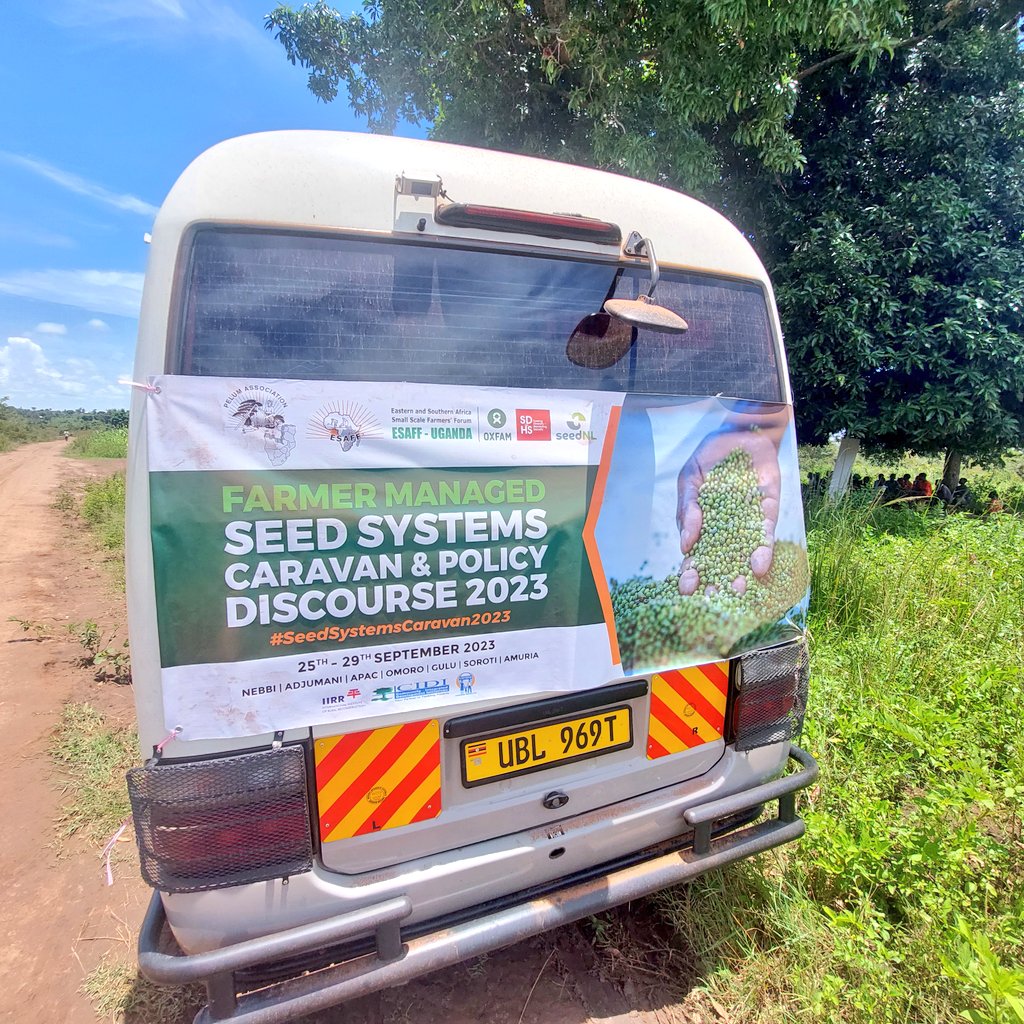 ESAFFUG's tweet photo. The #SeedSystemsCaravan2023 is currently at Ajalam Farmer Field School in Amuria district. 

It's exciting to listen to small-scale farmers sharing about participatory plant breeding.

The Caravan is covering 6 districts of the @sdhsprogram in Uganda. https://t.co/9iLytf1gse