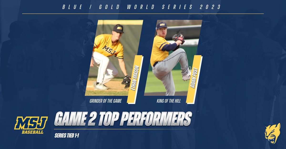 MSJ Baseball tweet media