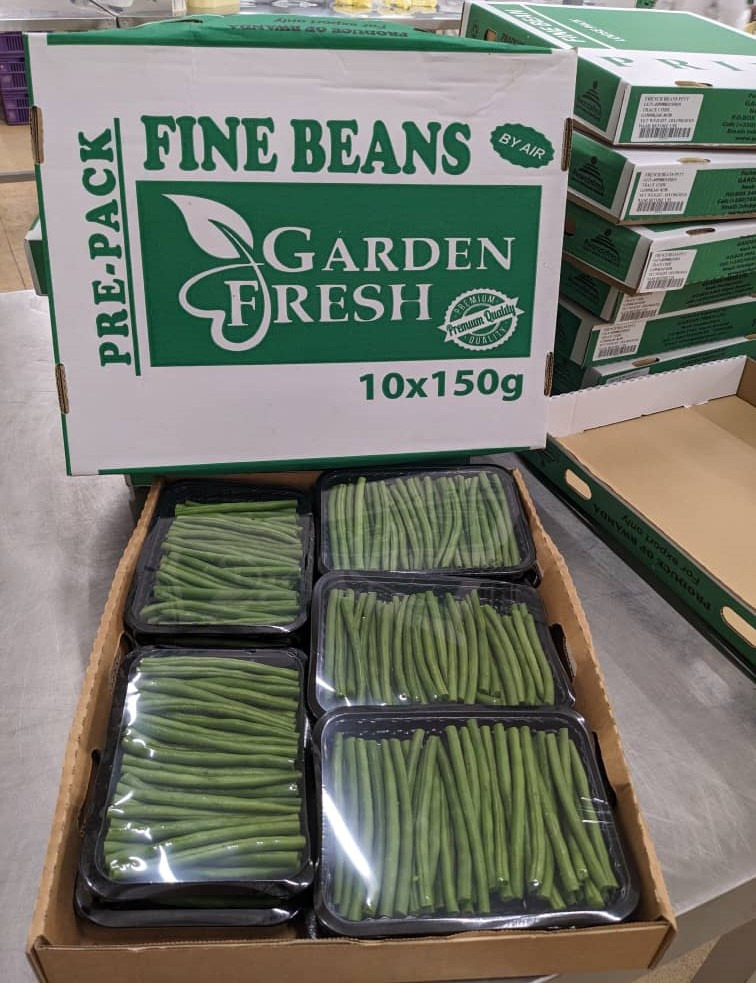 Introducing the green #Freshbeans of Garden Fresh. Carefully  packed in sized boxed, from farm to  your table; we ensure quality and freshness in every bite. Enjoy the  wholesome crunch and vibrant flavor of our #freshbeans today!  #GardenFresh  #qualityharvest