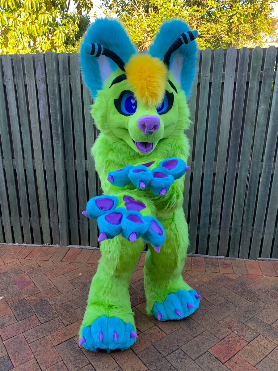 LupeSuits's tweet photo. Isn’t Jku the most adorable alien doggo?! 👽💚��� https://t.co/oQp6P1DH0h