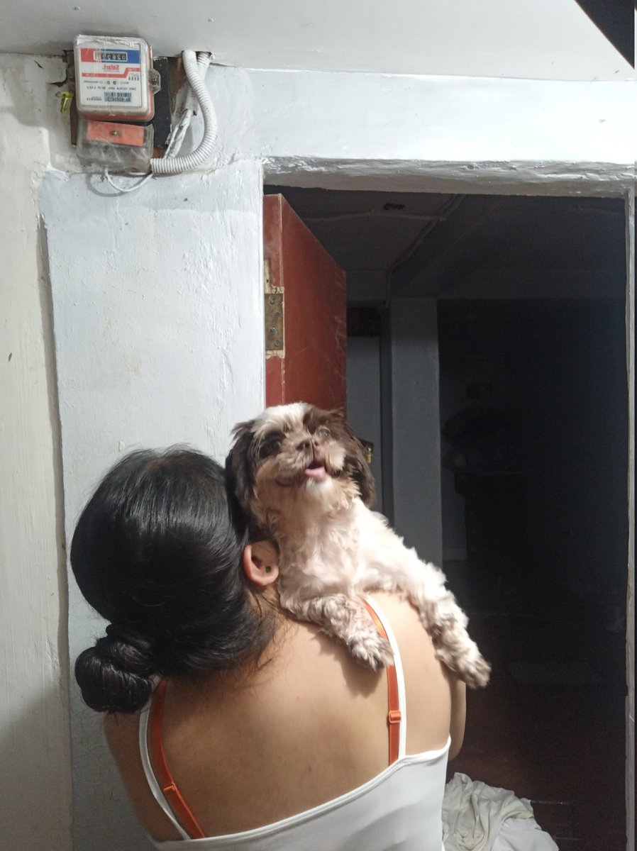 Lysscaliboso's tweet photo. So kikay ah , 🐶👀 https://t.co/cFXF31Szgv