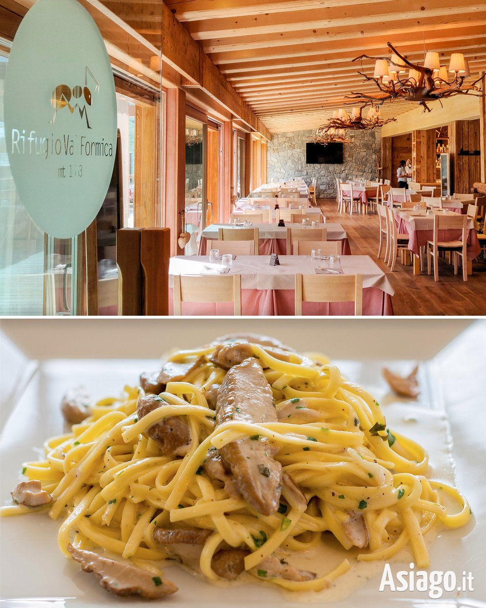 AsiagoIt's tweet photo. L'#autunno è arrivato e la Val Formica inizia a tingersi di caldi colori! 🌲🍁 🍄
Per celebrare i sapori di questo speciale periodo dell'anno, il RIFUGIO VAL FORMICA ha in programma una #CENA A BASE DI #FUNGHI! 😋
#Asiagoit #Asiago #ValFormica
INFO > https://t.co/zlm5Gp6Qmq https://t.co/A0DroKB9q9