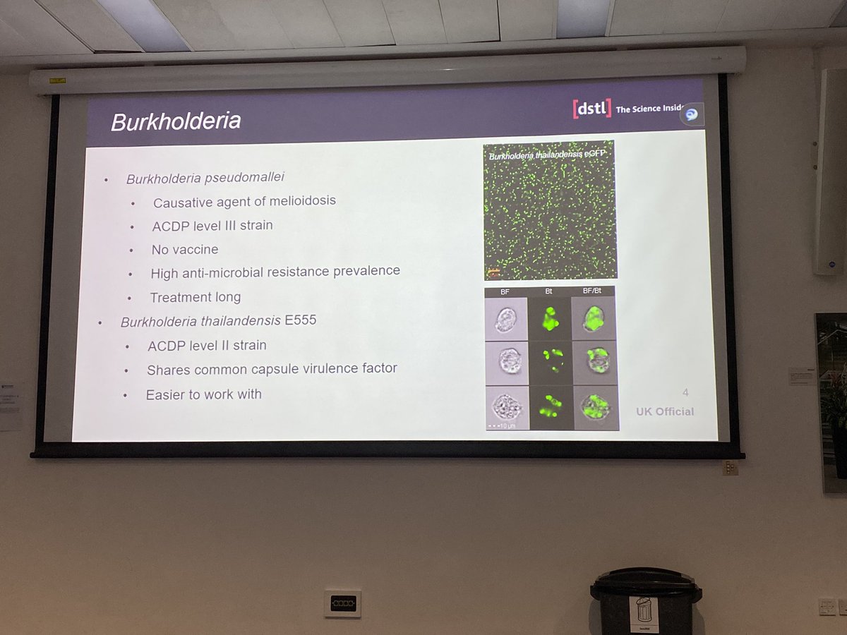 Unveiling the next frontier in Imaging Flow Cytometry! Dominic Jenner from DSTL is shedding light on the incredible applications of this technology in studying intracellular #bacteria Burkholderia. #Cytomics #ImagingFlowCytometry #BacteriaResearch #microbiology @UoEXCC