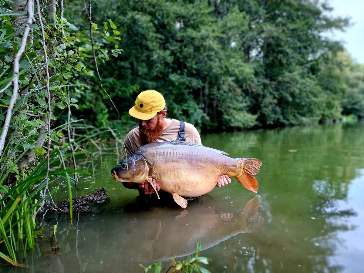 DannyGoldsmith5's tweet photo. 🚨Great start for my French trip🚨

50lb 11oz mega fish great fight 
Had it on a Ronnie on the new trakker end tackle and on the sharp end off the clonga sp was a ocean fruits pink pop up 

@Trakker_Carp 

#trakker #TrakkerProducts #carpbasics #Frenchtrip #pb #unit #trakkercatch https://t.co/qdUQanjT6w