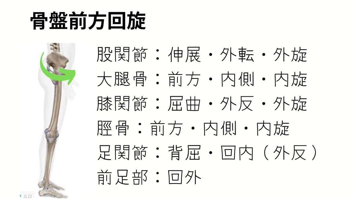 koarabook's tweet photo. 運動連鎖2

今回は意外と見ない骨盤回旋時の運動連鎖を乗せてます！！

すぐに見返せるようにいいねお願いします🫡 https://t.co/oSnYEkCS3M
