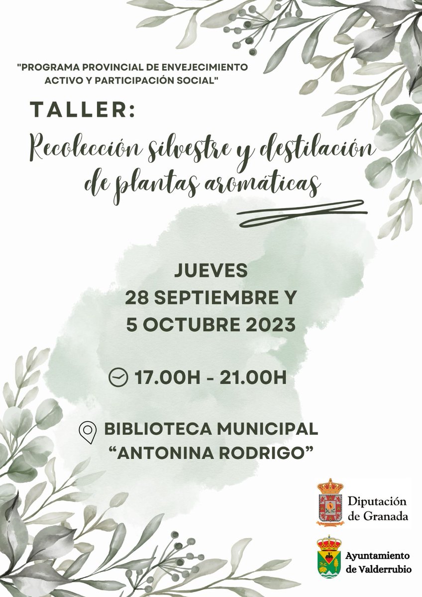 Ayuntamiento Valderrubio tweet media