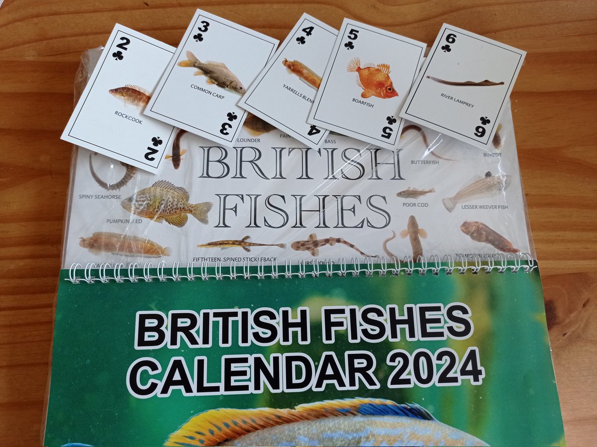 As well as writing two books at the moment I've also got some fishy merch on the way in the form of calendars , playing cards and posters which will be available in October