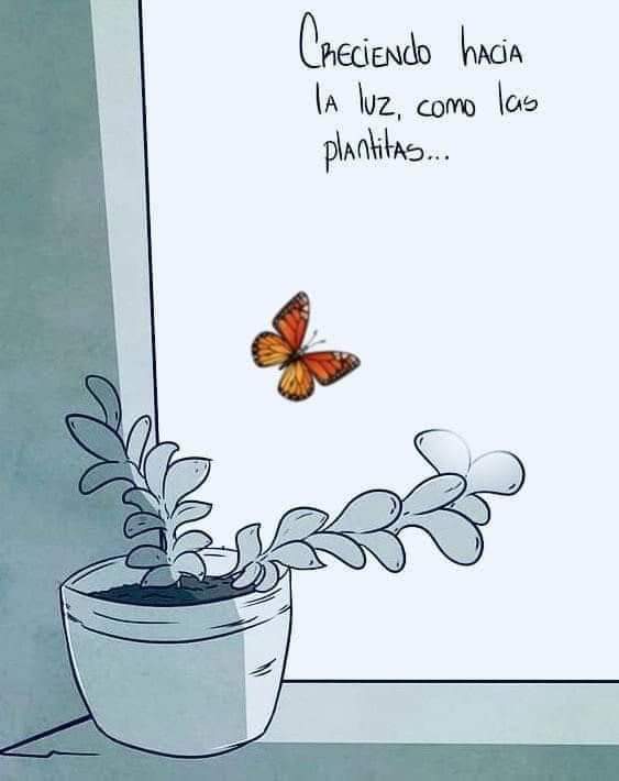 BelenSanTarot's tweet photo. #BuenosDías #Los80 #MartesDeGanarSeguidores #frasedeldía #GHVIP24S https://t.co/KoVe3fVd99
