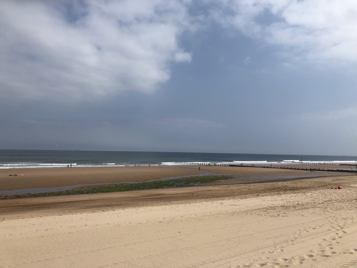 Carmel Teacher Training Partnership tweet media