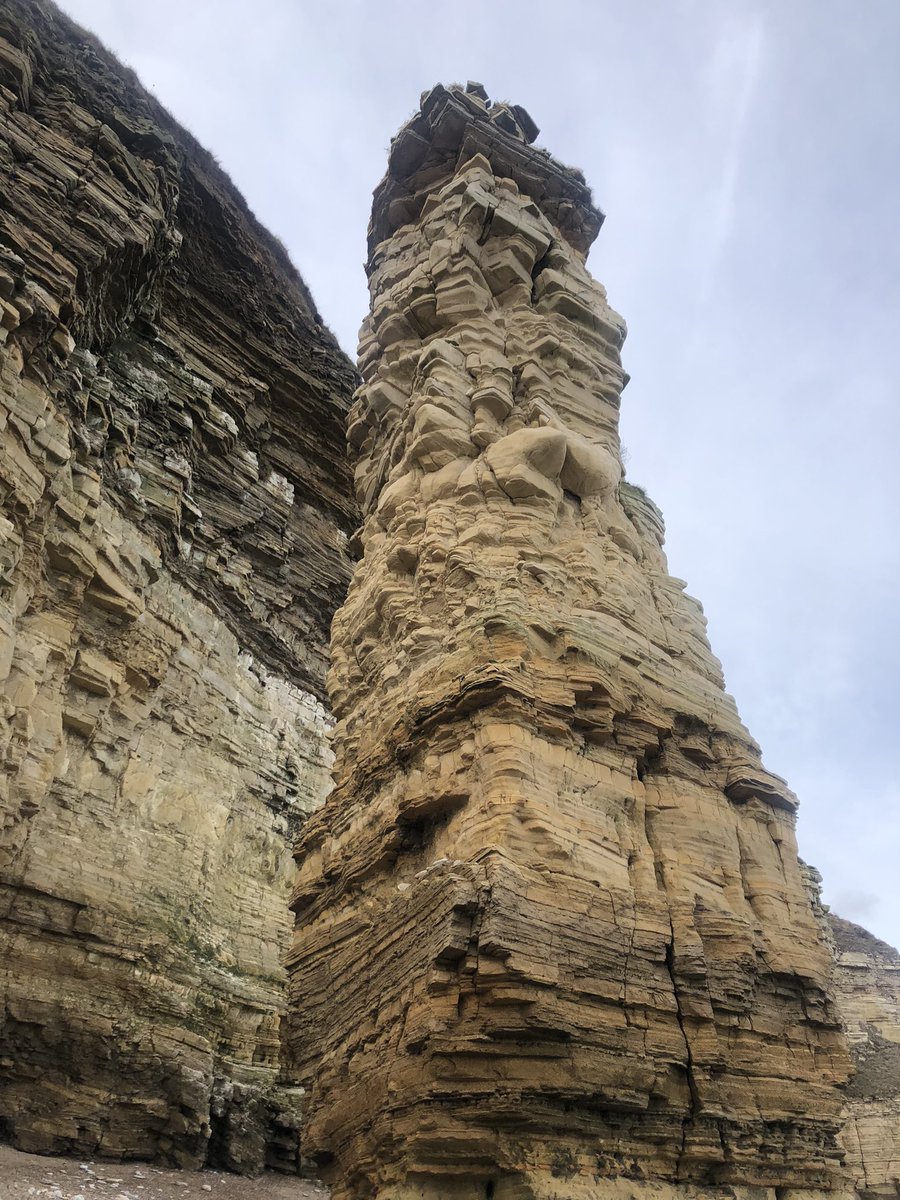 Carmel Teacher Training Partnership tweet media