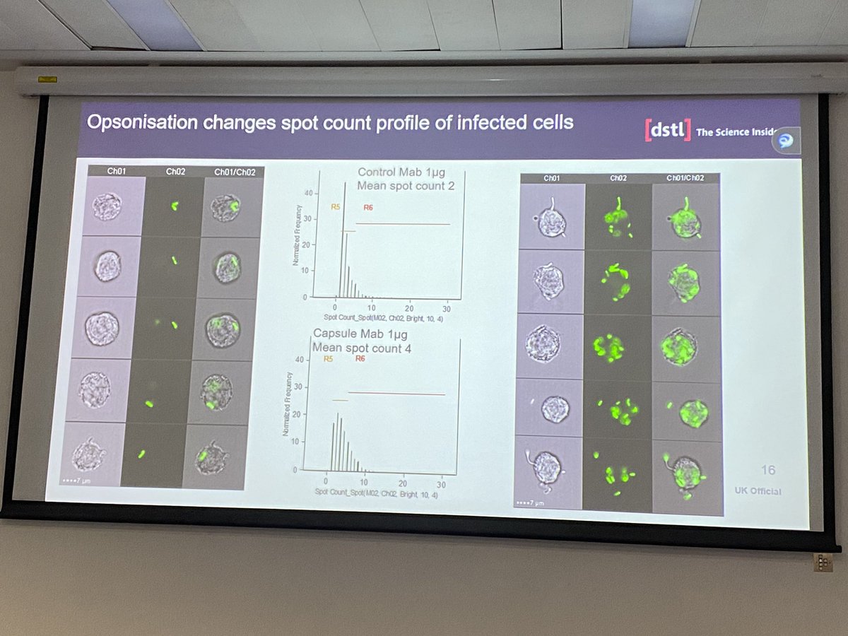 Great Imaging Flow Cytometry data from Dominic Jenner on opsonisation of Bacteria 🦠 #flowcytometry #microbiology #imaging #singlecell #DataScience @UoEXCC @UoEBiosciences @ExeterMed @ExeterMicrobes @MRCcmm
