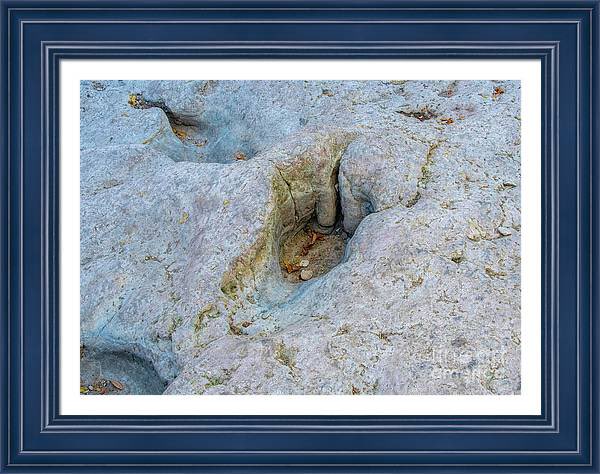 Dinosaur Tracks #2 Close-Up Smaller Dinosaur Framed Print
 #travelingtx #buyart #glenrose #dinosaurtracks #statepark #secondtrack #dmsfineart #dianamarysharpton #fineartamerica #fineart4sale #walldecor #prints4sale #Apparelwart

Artist Deck: dianamary-sharpton.pixels.com/featured/dinos…