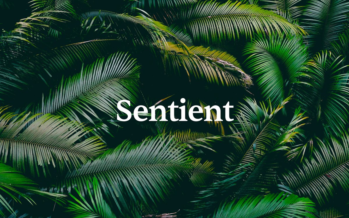 MichaelFilipiuk's tweet photo. 4 free typefaces I'm loving right now 🔥 https://t.co/Bv66n3PyqA