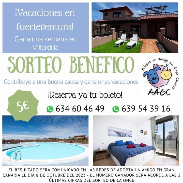 AdoptaunamigoGC's tweet photo. Tenemos sorteo!!!!!!
Manda un WhatsApp y participa para conseguir una semana en Villardilla. 
Ayúdanos con un RT para llegar a más gente 🙏
#GranCanaria
#Fuerteventura https://t.co/jp4WBrYFQS