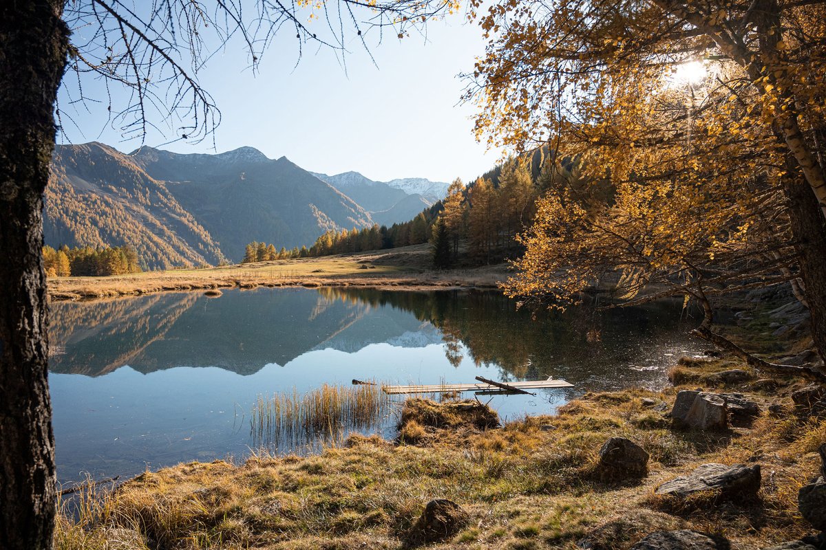 Giallo, arancione, rosso, oro: quale è il tuo colore d'#autunno preferito? 🍁🍂
Ecco i nostri consigli, riferiti ai 5 migliori luoghi per ammirare il #foliage in Val di Sole.
Scoprili qua ➡️ visitvaldisole.it/it/foliage