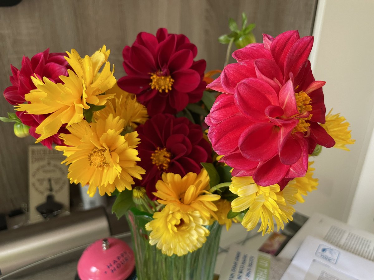 Lovely #flowers from the #allotment 😍#dahlias and gazanias