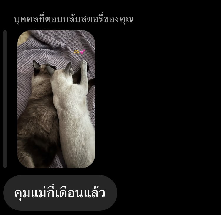 mybabytenten's tweet photo. ลูอีไม่ได้ท้องเนาะ 55555555555555555555555555555555555555 แกทำกับอัลฟ่าจ่าฝูงแบบนี้ได้ไง https://t.co/8qcZwcO0Np