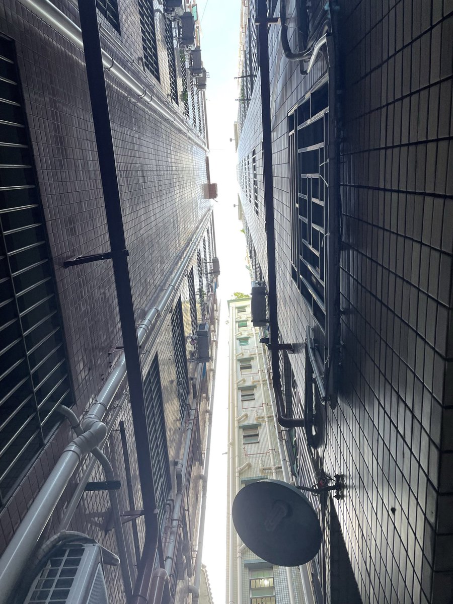 realHaohao1's tweet photo. 楼下包子铺有一只小狗，眼睛扑闪扑闪，很可爱。我买了本书叫《宇宙》听说分享宇宙是史诗级别的浪漫。满大街都是泛滥成灾的玫瑰，我讨厌玫瑰讨厌了很多年，但是大家好像约好了一样，突然都有在被很好的爱着，我嫉妒极了。你看吧，我招数笨拙，无非是想让你多说一句爱我 (图:Ronie) https://t.co/9uo6DU69qA